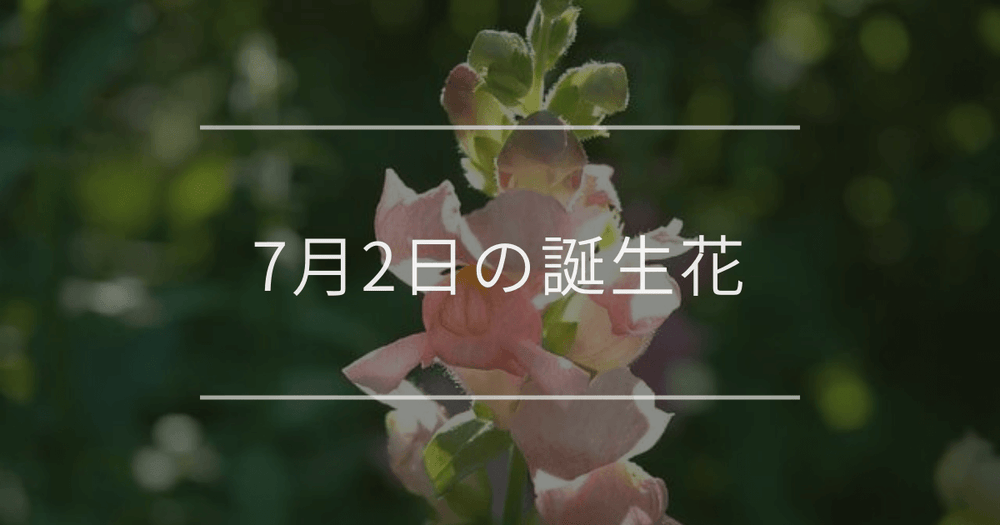 7月2日の誕生花：キンギョソウ・クレマチスの花言葉など