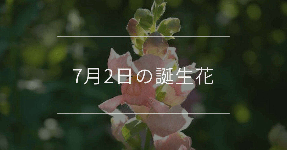 7月2日の誕生花