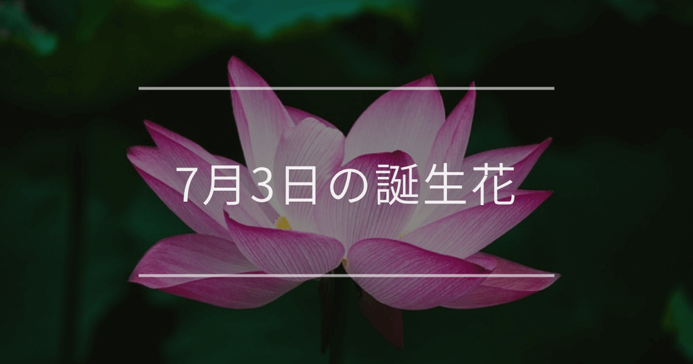 7月3日の誕生花：ハス・ヒメユリの花言葉など