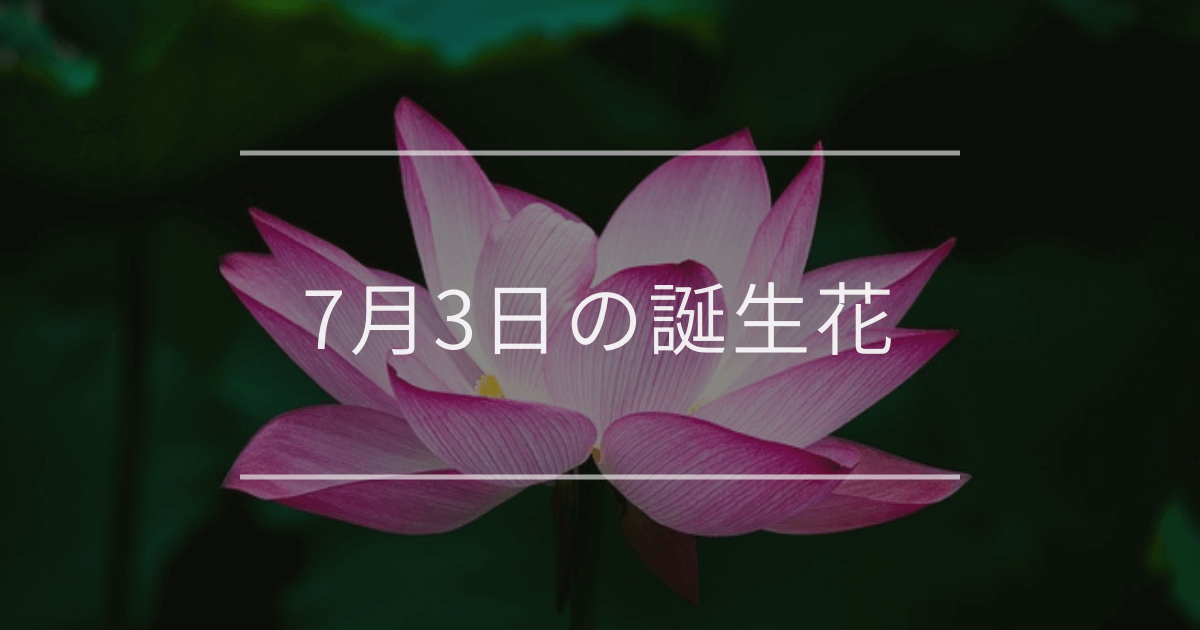 7月3日に誕生花