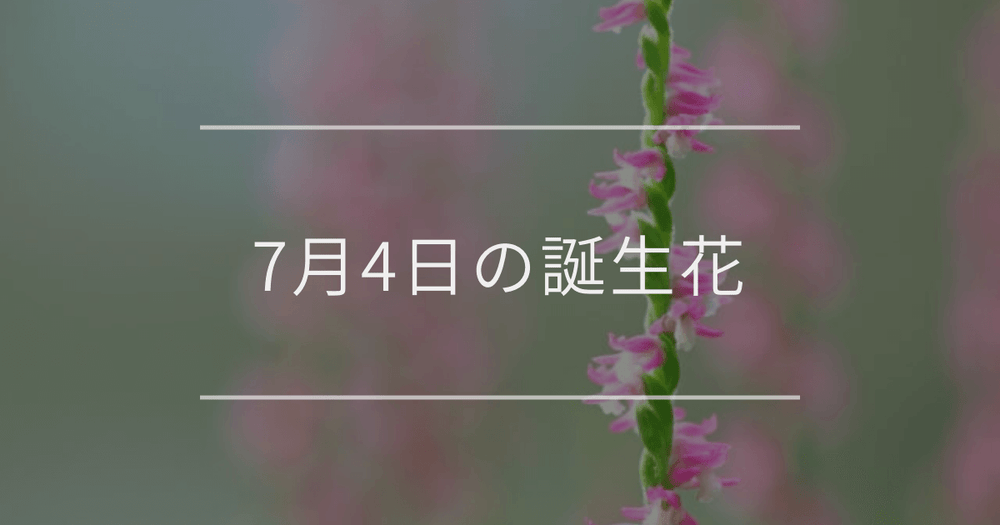 7月4日の誕生花：ネジバナ・モクレンの花言葉など