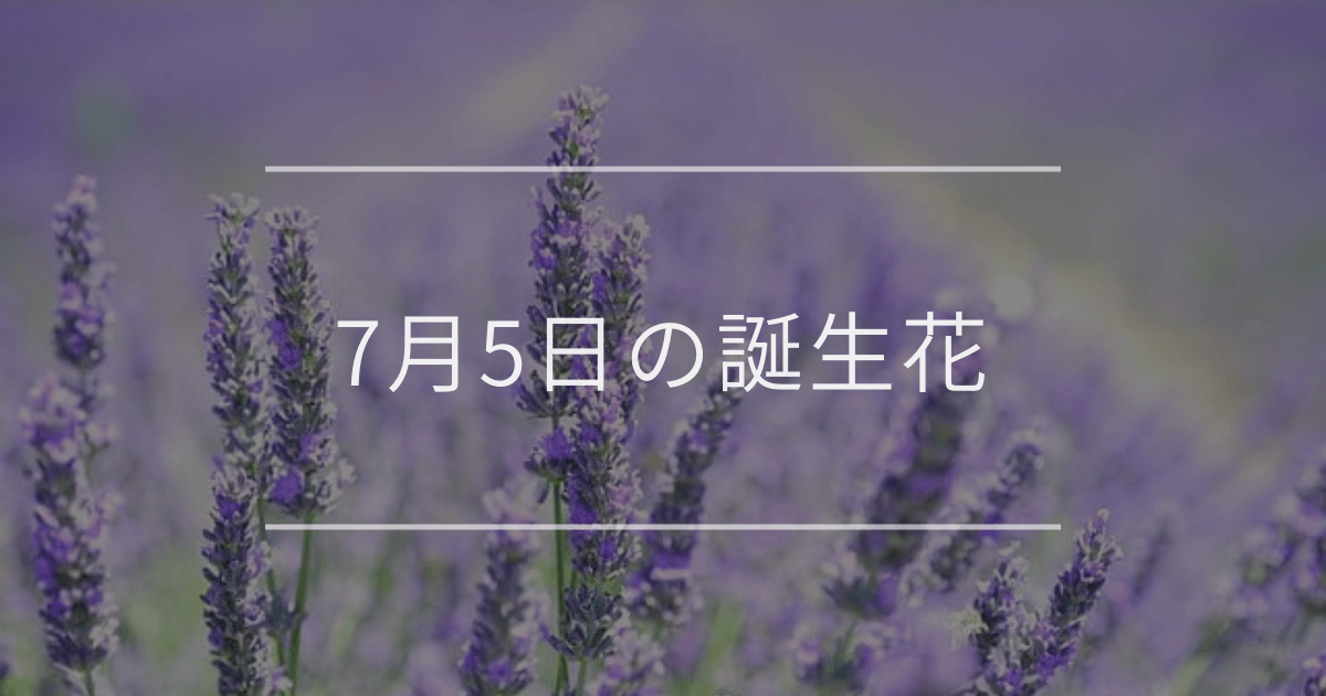 7月5日の誕生花