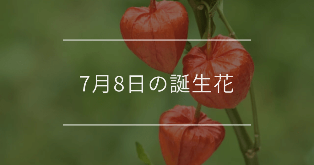 7月8日の誕生花：ホオズキ・ハスの誕生花など