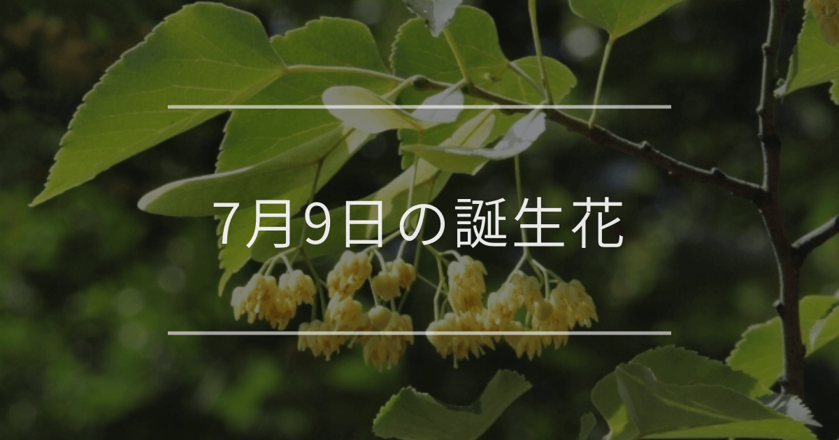 7月9日の誕生花