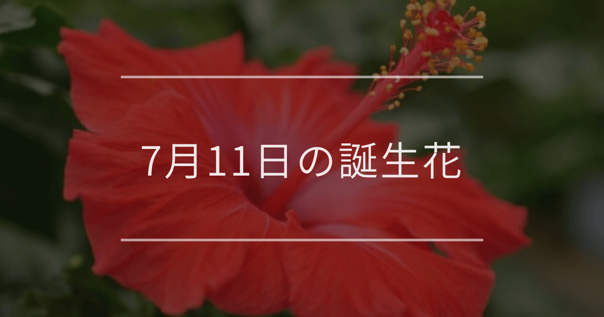 7月11日の誕生花