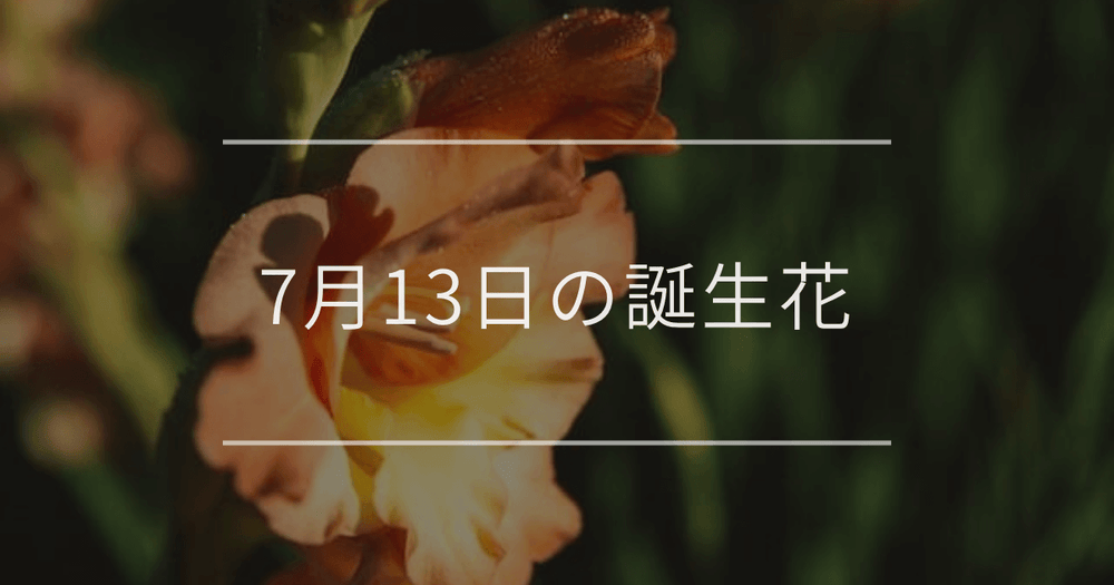 7月13日の誕生花：グラジオラス・ホテイアオイの花言葉など