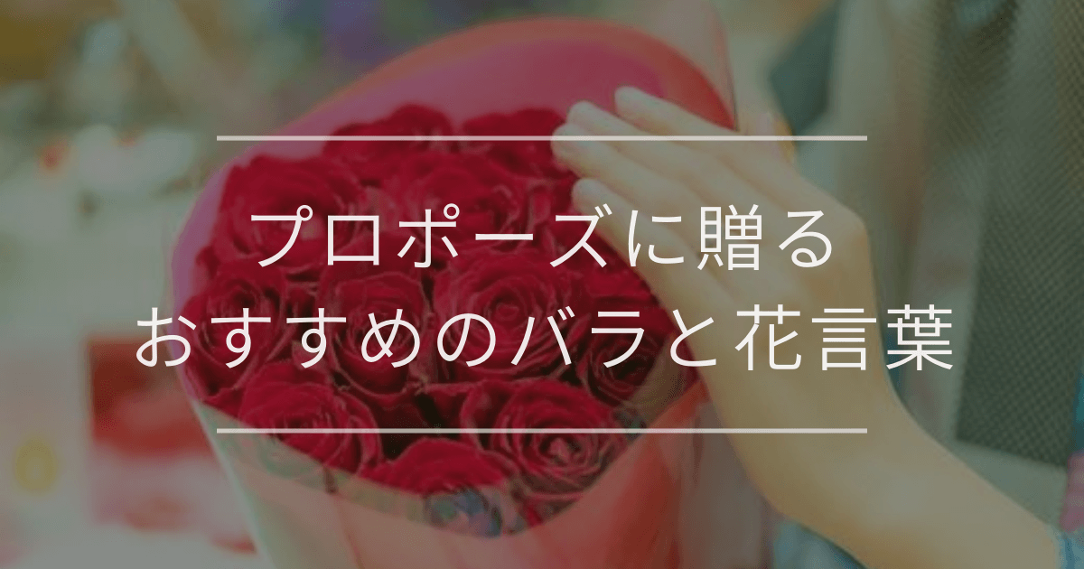 プロポーズに贈るおすすめのバラと花言葉