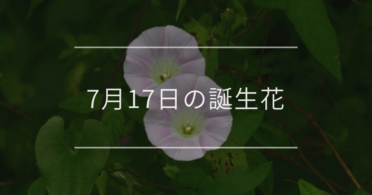 7月17日の誕生花