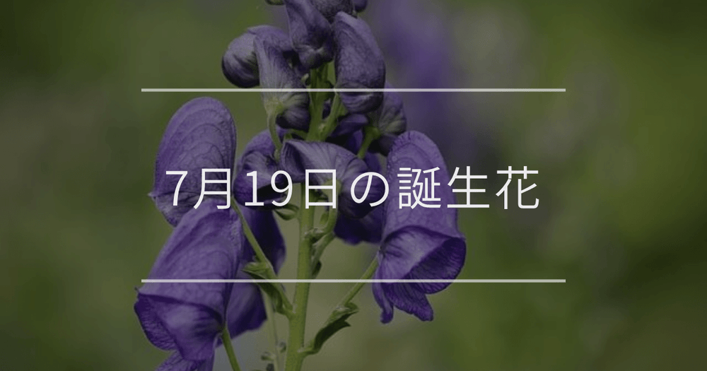 7月19日の誕生花：トリカブト・ゲッカビジン(月下美人)の花言葉など