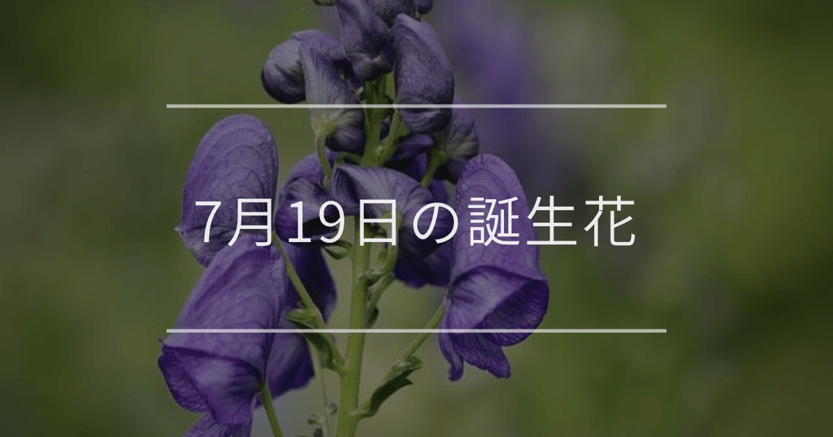 7月19日の誕生花