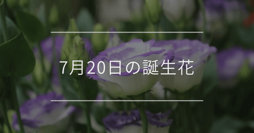 7月20日の誕生花：トルコキキョウ・ヒマワリの花言葉など