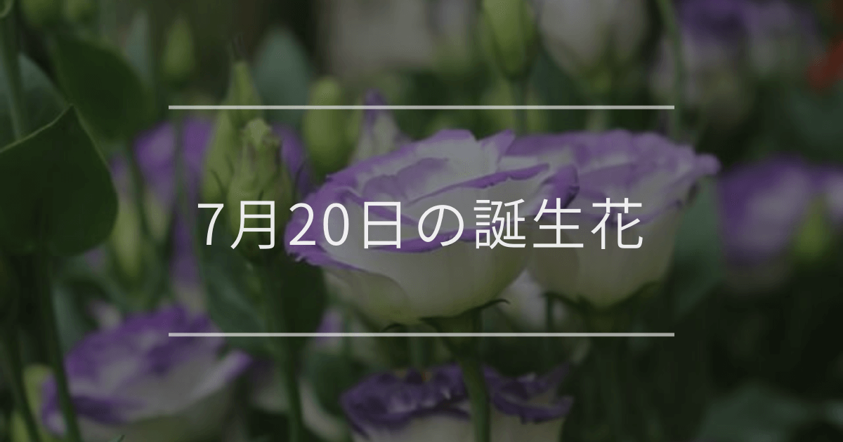 7月20日の誕生花