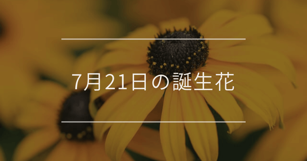 7月21日の誕生花：ルドベキア・ミントの花言葉など
