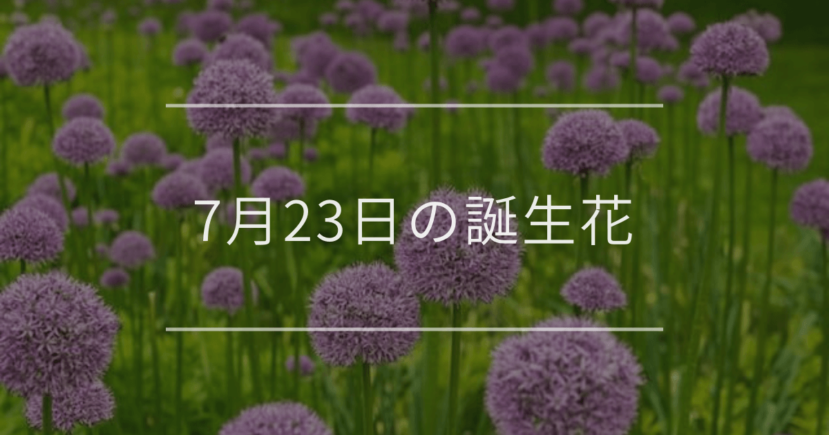 7月23日の誕生花
