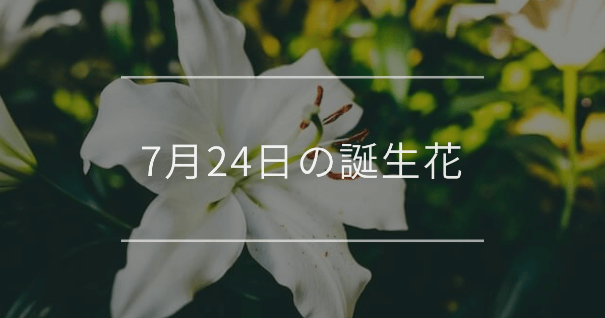 7月24日の誕生花