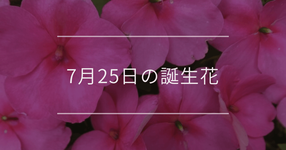 7月25日の誕生花：インパチェンス・トリカブトの花言葉など
