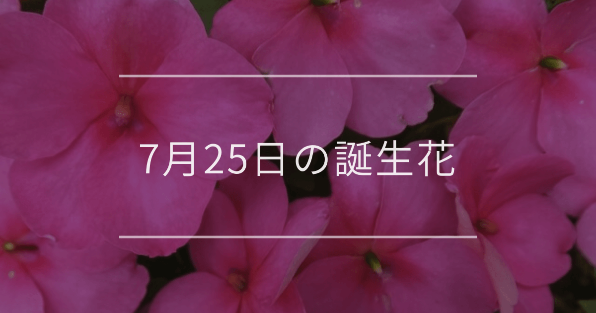 7月25日の誕生花