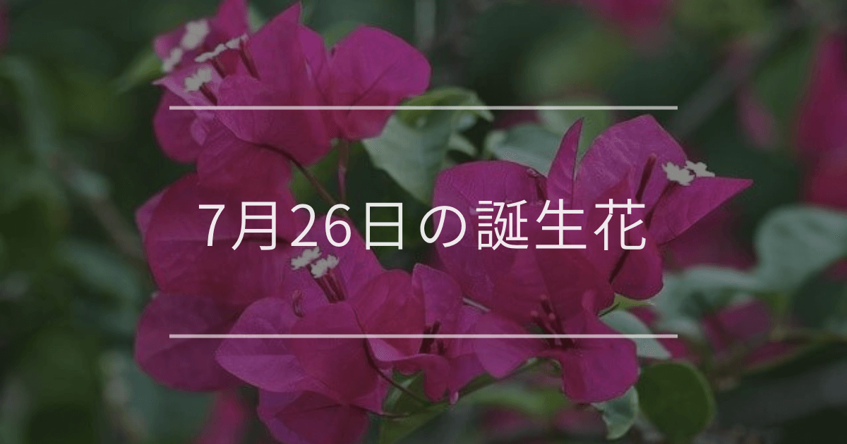 7月26日の誕生花