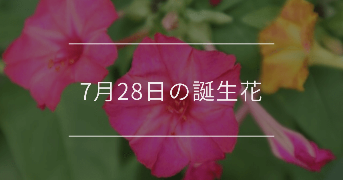 7月28日の誕生花