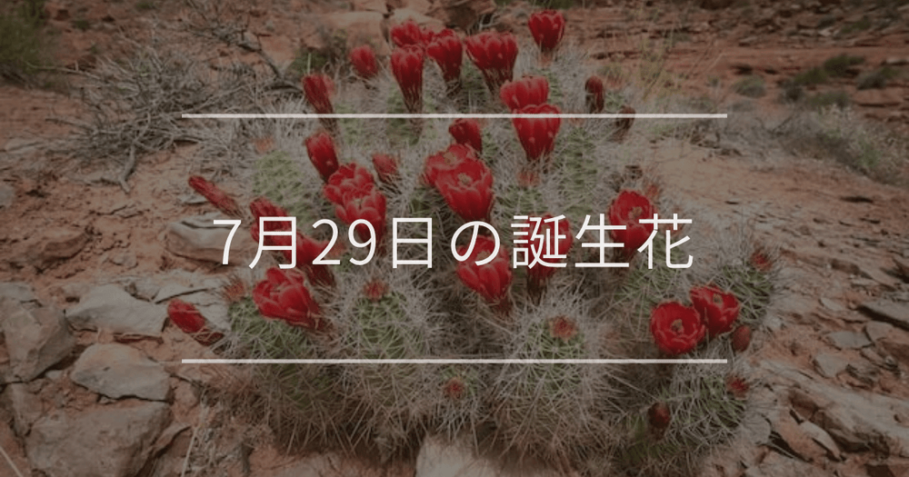 7月29日の誕生花：サボテン・ダリアの花言葉など