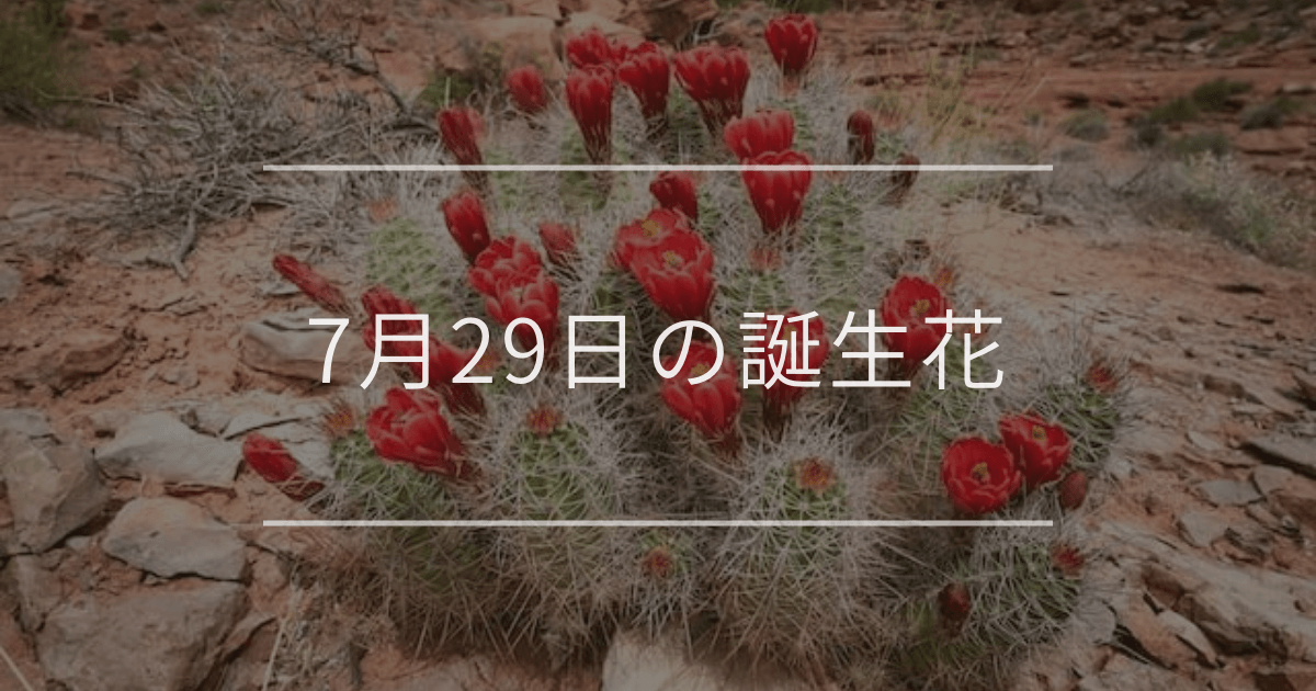 7月29日の誕生花