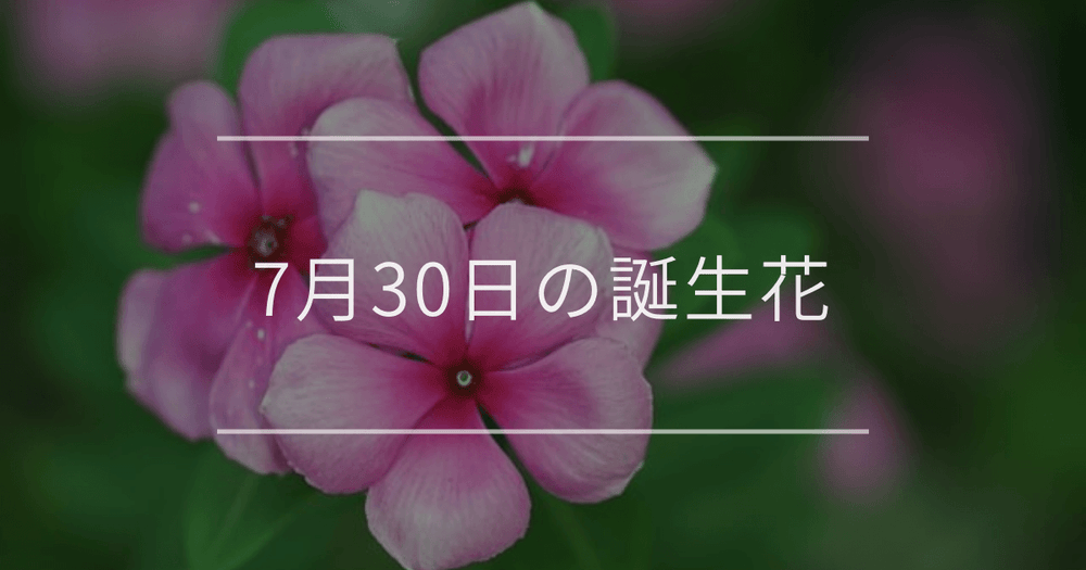 7月30日の誕生花：ニチニチソウ・ボダイジュの花言葉など