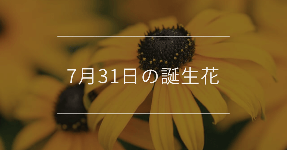 7月31日の誕生花：ルドベキア・ツルバラの花言葉など