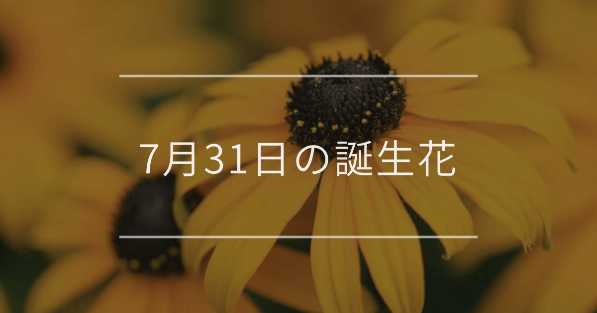 7月31日の誕生花