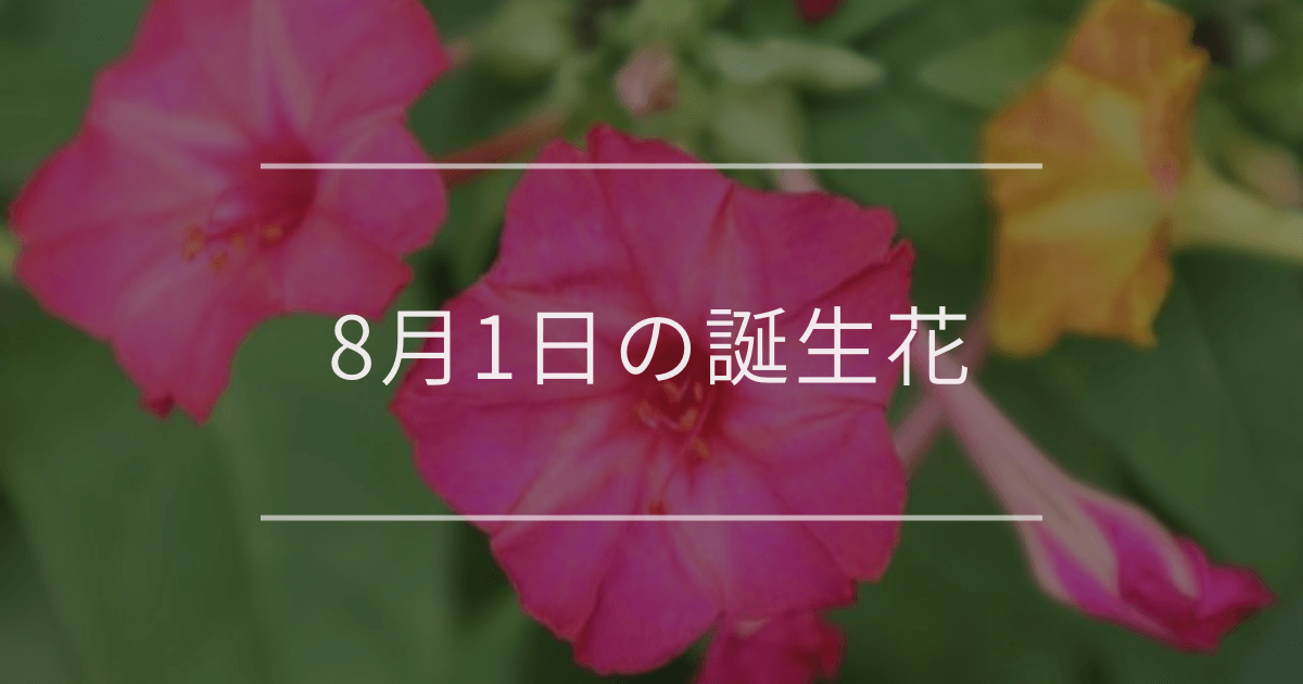 8月1日の誕生花