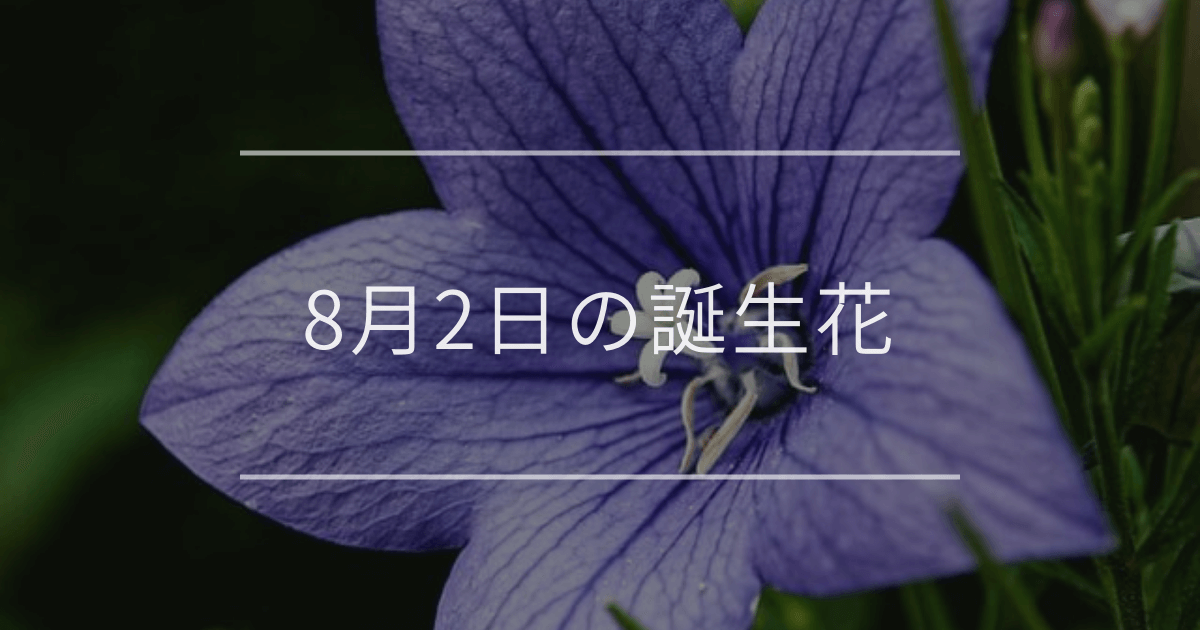 8月2日の誕生花