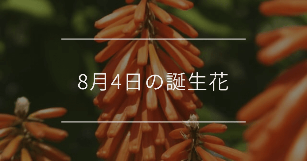 8月4日の誕生花：トリトマ・フロックスの花言葉など
