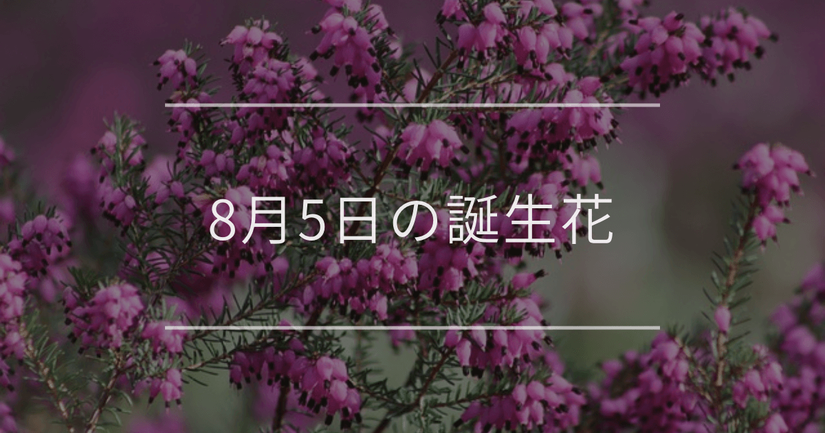 8月5日の誕生花