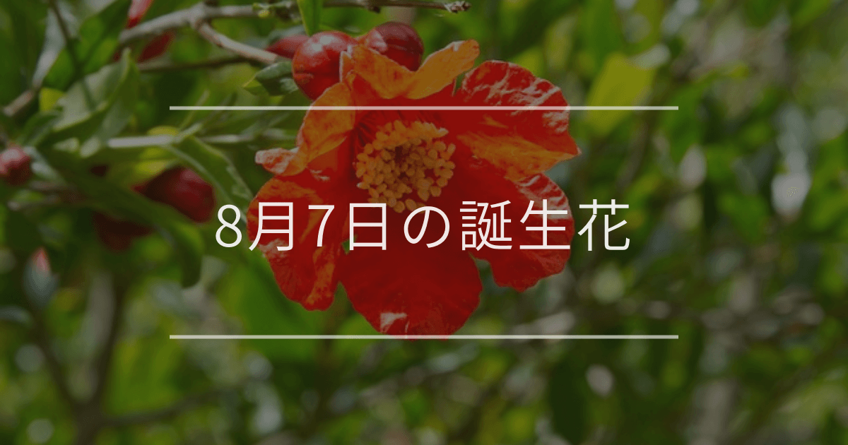 8月7日の誕生花