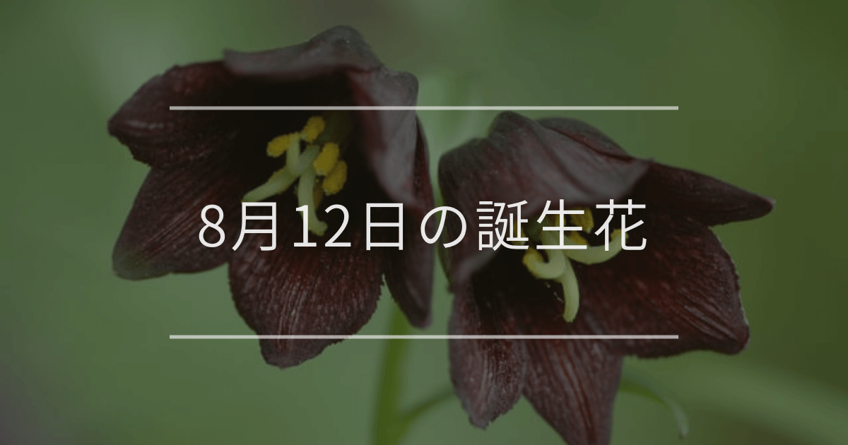 8月12日の誕生花