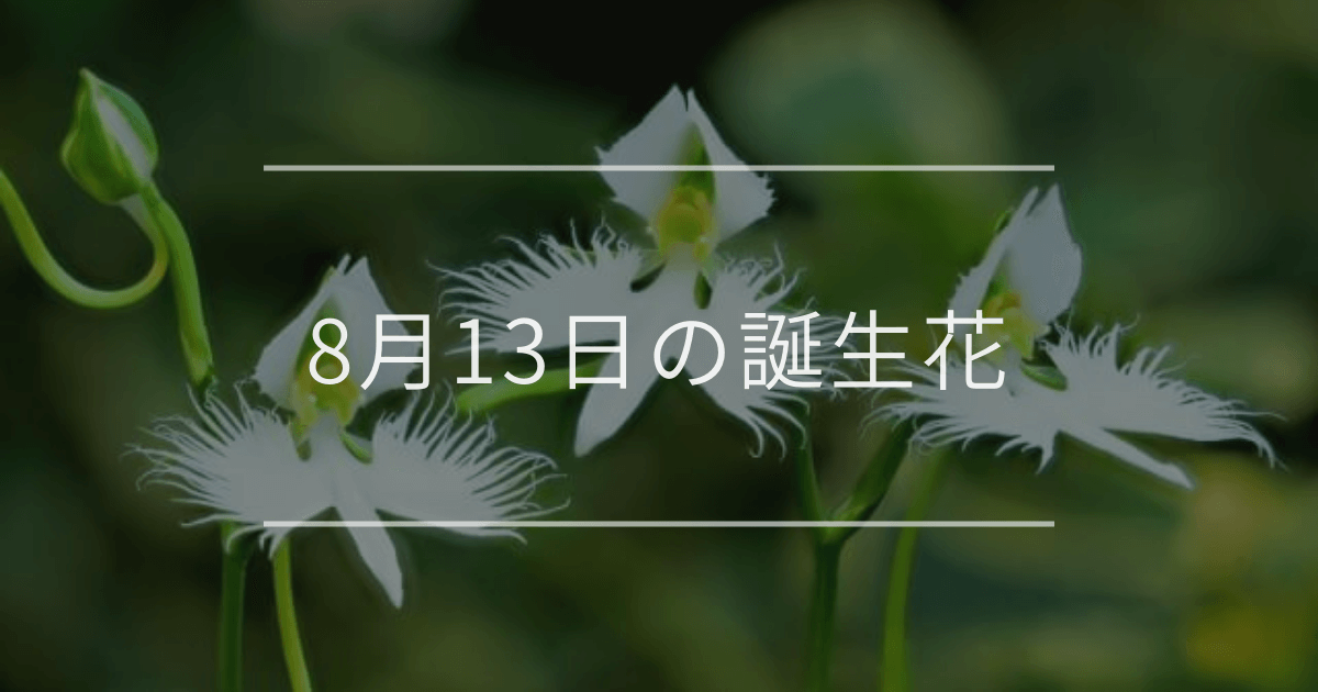 8月13日の誕生花