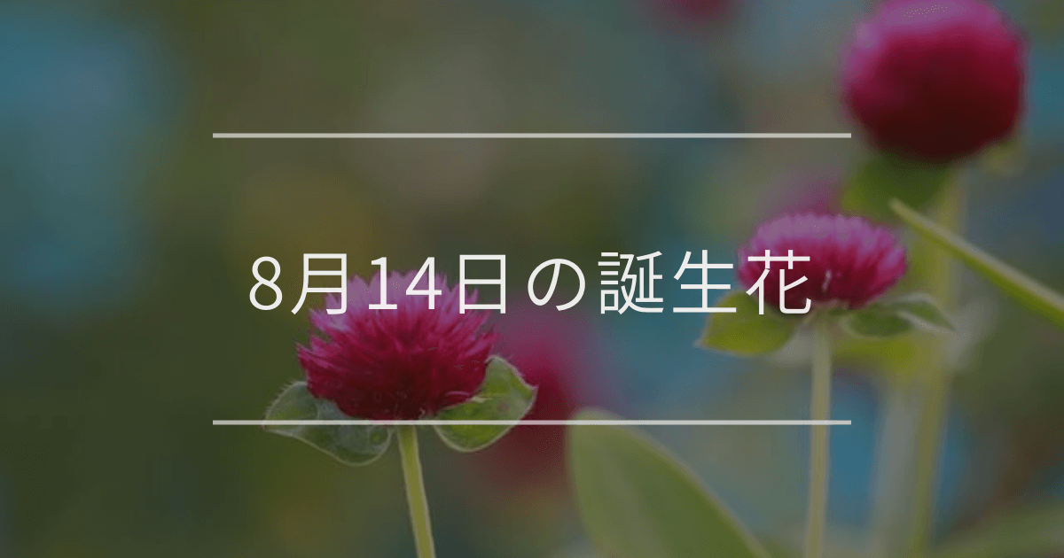 8月14日の誕生花