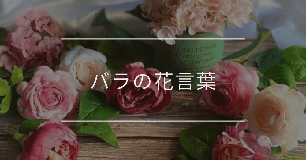 バラの花言葉｜色別の花言葉や誕生花、名前の由来
