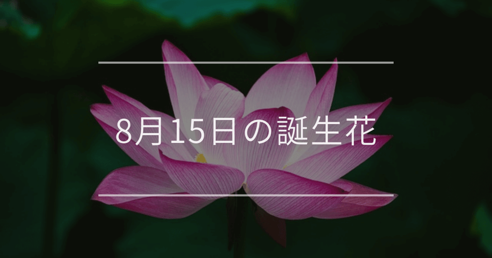 8月15日の誕生花：ハス・モントブレチアの花言葉など