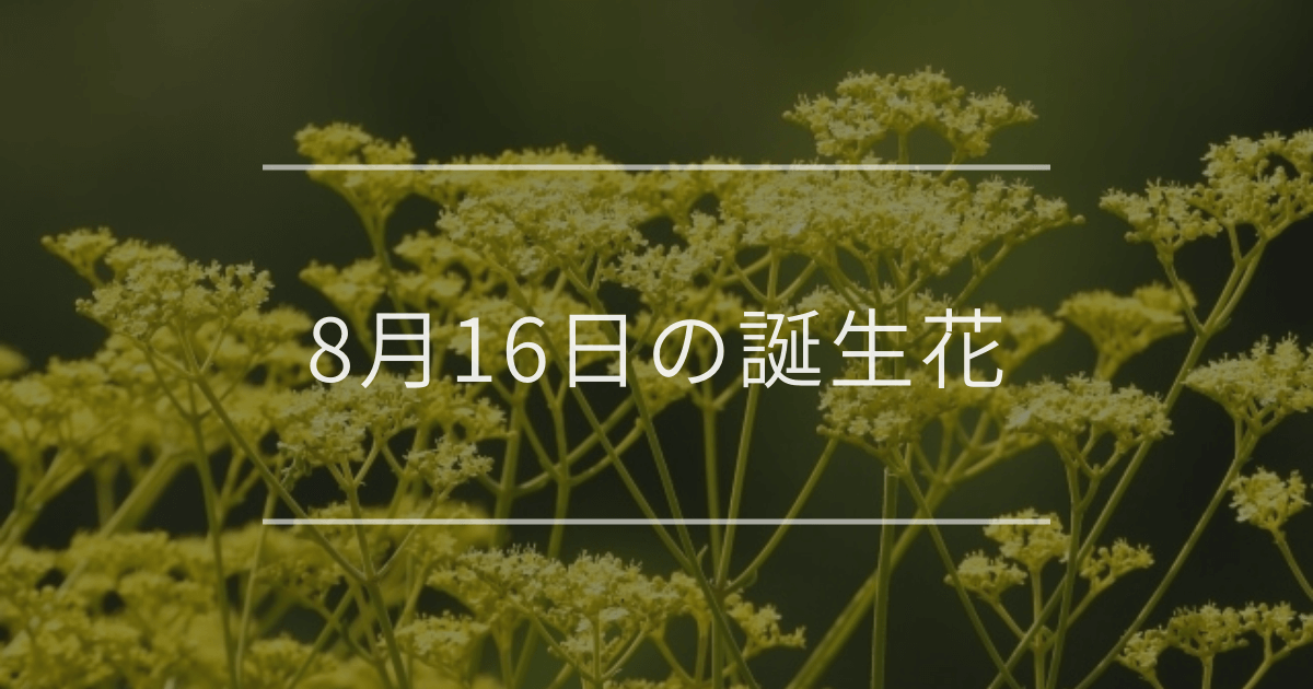 8月16日の誕生花