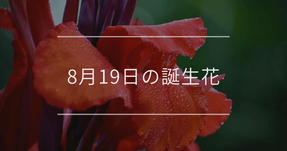 8月19日の誕生花