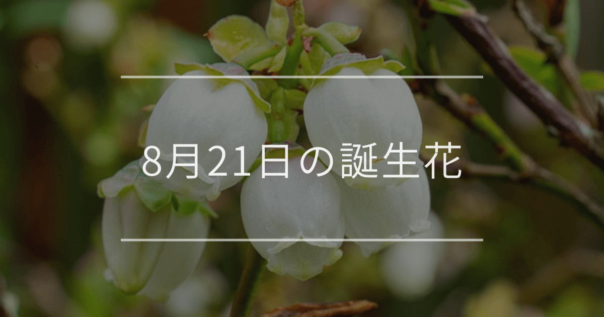 8月21日の誕生花