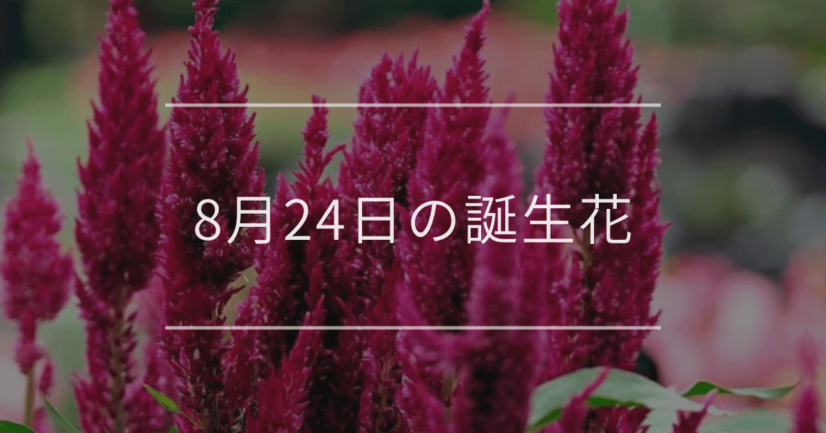 8月24日の誕生花