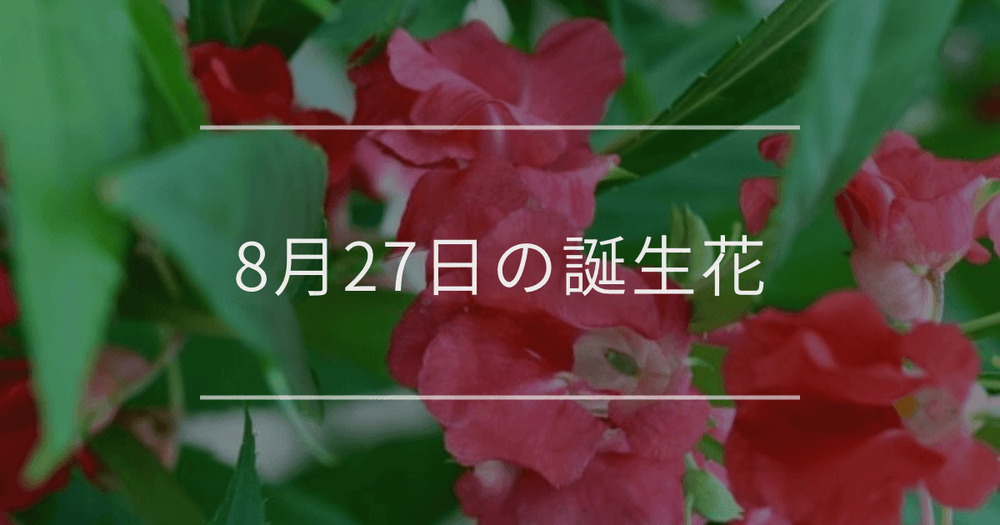 8月27日の誕生花：ホウセンカ・ユウガオの花言葉など