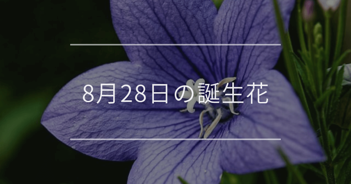 8月28日の誕生花