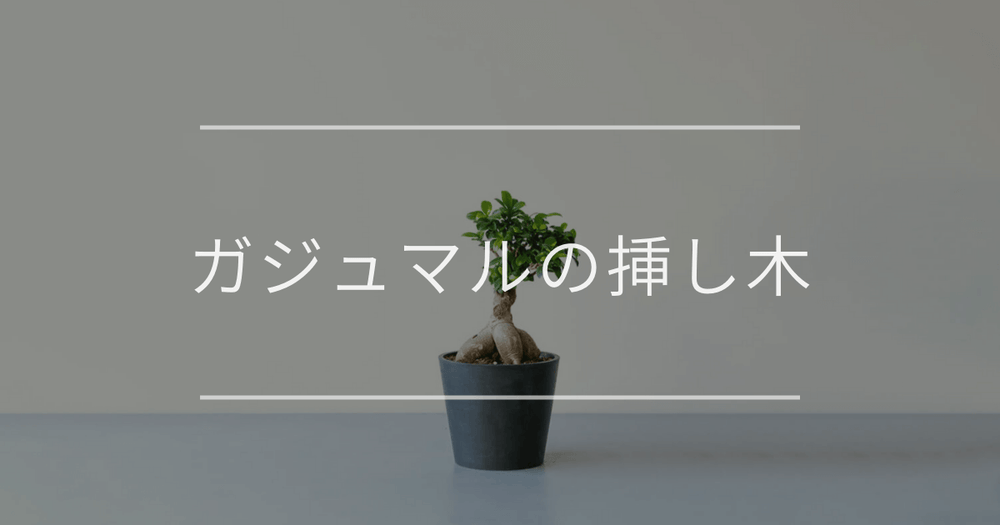 ガジュマルの挿し木｜時期と方法