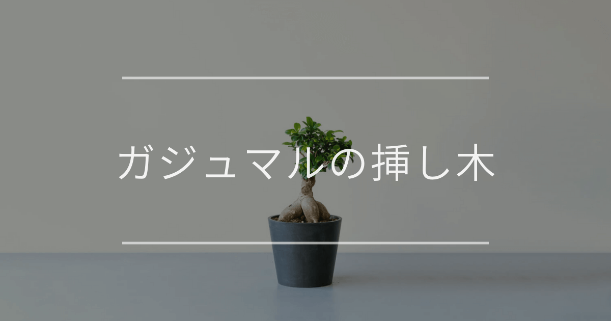 ガジュマルの挿し木