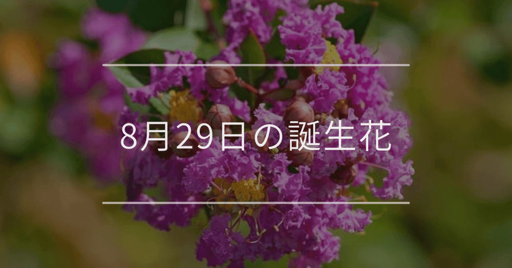 8月29日の誕生花：サルスベリ・ケイトウの花言葉など