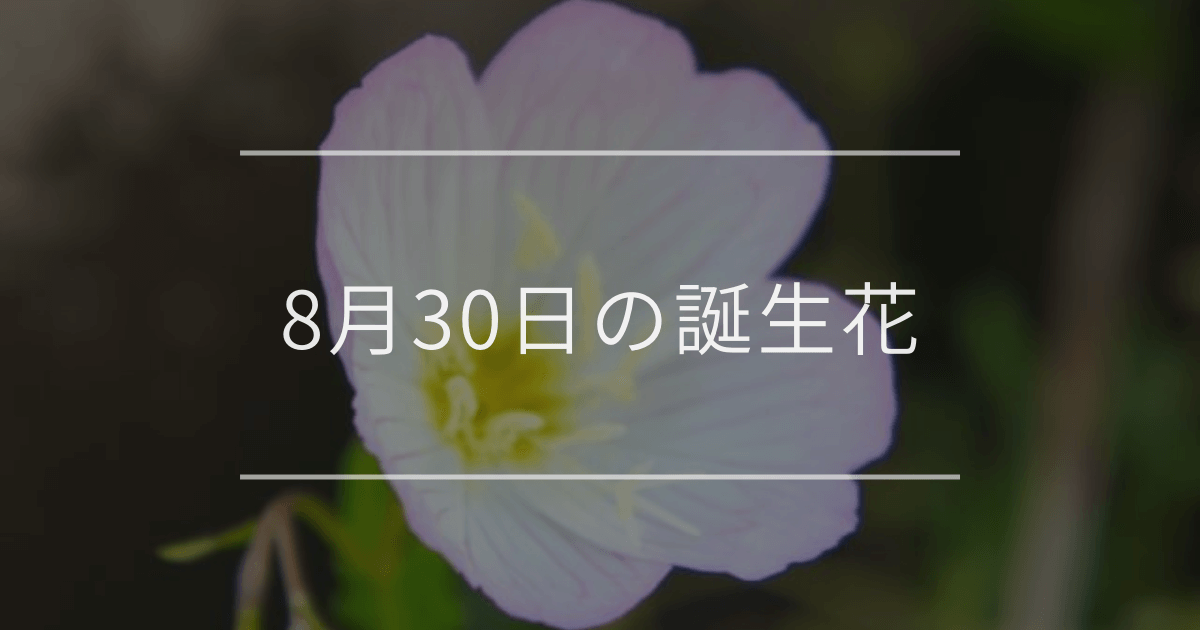 8月30日の誕生花