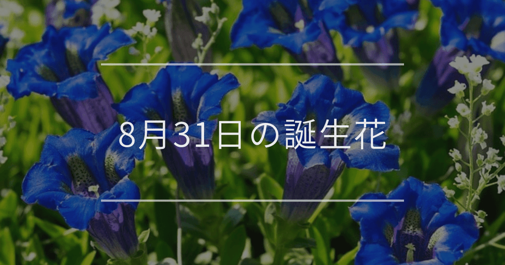 8月31日の誕生花：リンドウ・サルビアの花言葉など