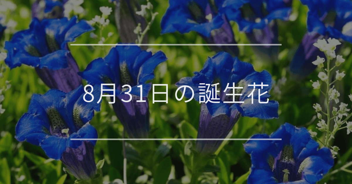 8月31日の誕生花